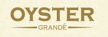 Adani Oyster Grande in Sector 102 Dwarka Expressway, Gurgaon thumbnail 21