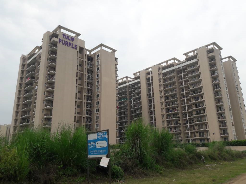 Tulip Purple Sector 69 Golf Course Extension Road, Gurgaon thumbnail 4