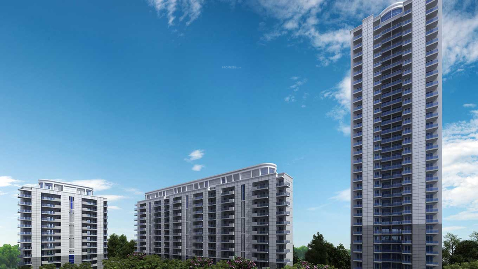 DLF The Ultima Sector 81 Dwarka Expressway, Gurgaon thumbnail 8
